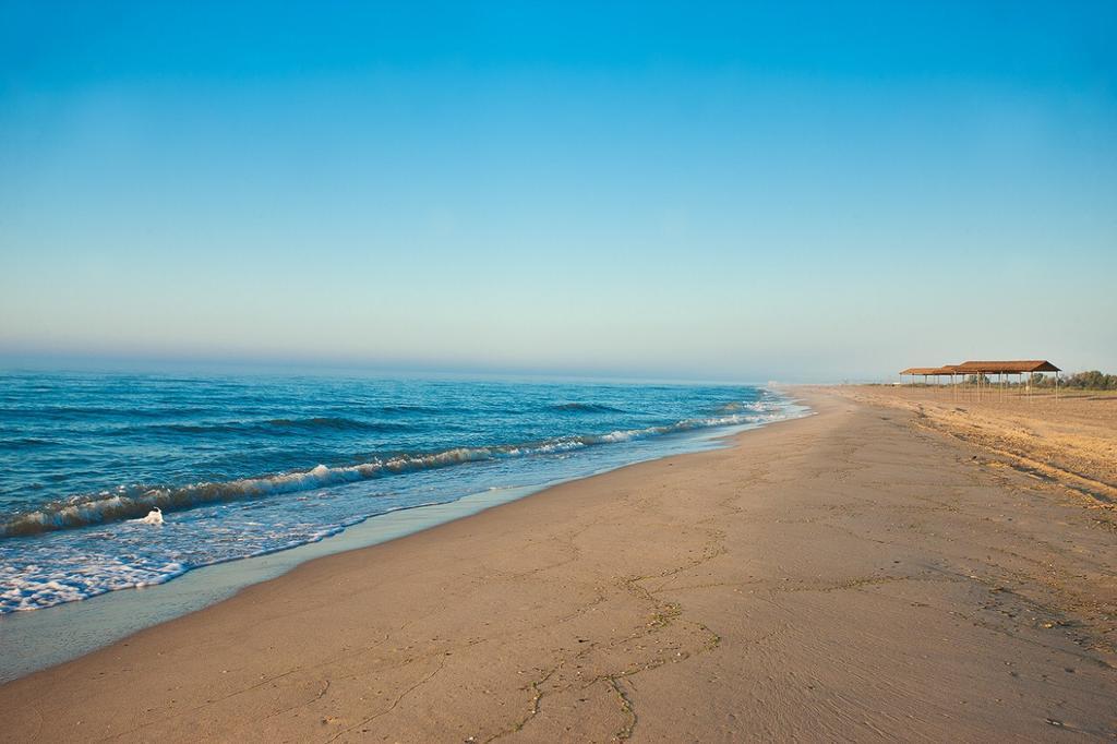 Near The Sea *