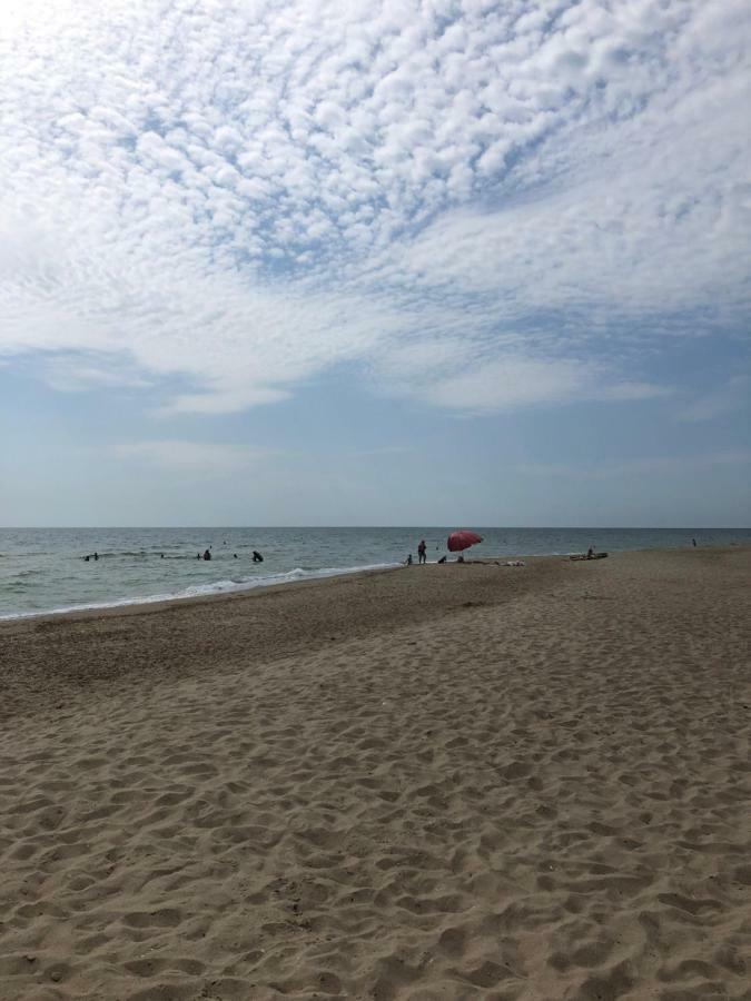 Near The Sea Грибовка
