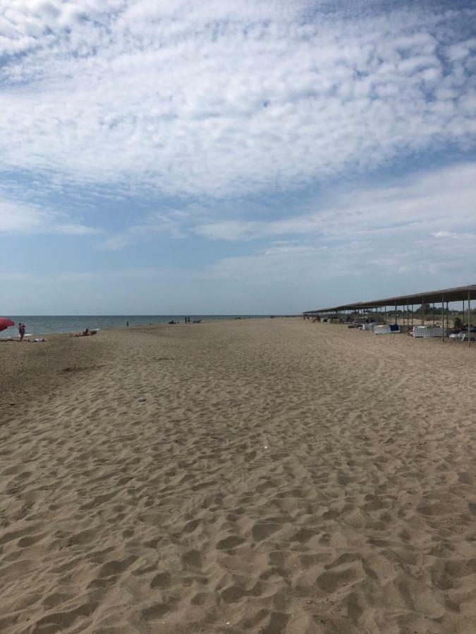 Near The Sea